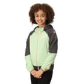 Quiet Green-Seal Grey - Pack Shot - Regatta Childrens-Kids Prenton II Hooded Soft Shell Jacket