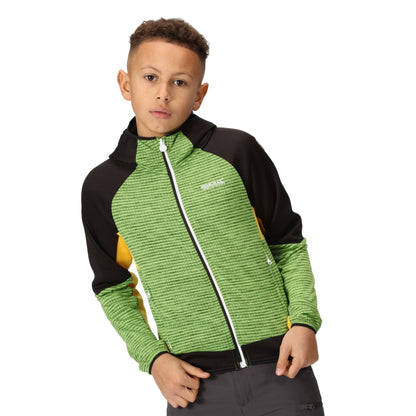 Jasmine Green-Black - Pack Shot - Regatta Childrens-Kids Prenton II Hooded Soft Shell Jacket