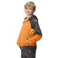 Orange Pepper-Seal Grey - Lifestyle - Regatta Childrens-Kids Prenton II Hooded Soft Shell Jacket