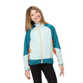 Sea Haze-Gulfstream - Lifestyle - Regatta Childrens-Kids Prenton II Hooded Soft Shell Jacket