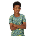 Sea Pine - Pack Shot - Regatta Childrens-Kids Bosley VI Camouflage T-Shirt