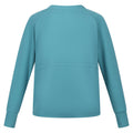 Bristol Blue - Back - Regatta Womens-Ladies Narine Marl Sweatshirt