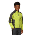 Green Algae-Seal Grey - Pack Shot - Regatta Childrens-Kids Highton II Fleece Jacket