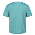 Bristol Blue - Back - Regatta Childrens-Kids Alvarado VII Mountain T-Shirt