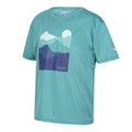 Bristol Blue - Side - Regatta Childrens-Kids Alvarado VII Mountain T-Shirt