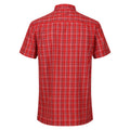 Seville - Back - Regatta Mens Kalambo VII Quick Dry Short-Sleeved Shirt