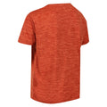 Rusty Orange - Lifestyle - Regatta Childrens-Kids Fingal Edition Marl T-Shirt