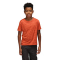 Rusty Orange - Pack Shot - Regatta Childrens-Kids Fingal Edition Marl T-Shirt