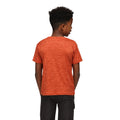 Rusty Orange - Close up - Regatta Childrens-Kids Fingal Edition Marl T-Shirt