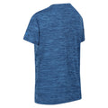 Indigo Blue - Lifestyle - Regatta Childrens-Kids Fingal Edition Marl T-Shirt