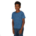 Indigo Blue - Pack Shot - Regatta Childrens-Kids Fingal Edition Marl T-Shirt