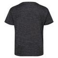 Seal Grey - Back - Regatta Childrens-Kids Fingal Edition Marl T-Shirt