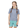 Dusty Denim - Pack Shot - Regatta Childrens-Kids Fingal Edition Marl T-Shirt