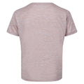 Dusky Rose - Back - Regatta Childrens-Kids Fingal Edition Marl T-Shirt