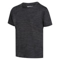 Seal Grey - Side - Regatta Childrens-Kids Fingal Edition Marl T-Shirt