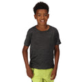 Seal Grey - Pack Shot - Regatta Childrens-Kids Fingal Edition Marl T-Shirt