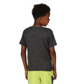 Seal Grey - Close up - Regatta Childrens-Kids Fingal Edition Marl T-Shirt