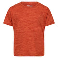 Rusty Orange - Front - Regatta Childrens-Kids Fingal Edition Marl T-Shirt