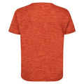 Rusty Orange - Back - Regatta Childrens-Kids Fingal Edition Marl T-Shirt