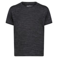 Seal Grey - Front - Regatta Childrens-Kids Fingal Edition Marl T-Shirt