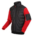 Black-Danger Red - Side - Regatta Mens Colliston Baffled Fleece Jacket