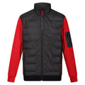 Black-Danger Red - Front - Regatta Mens Colliston Baffled Fleece Jacket