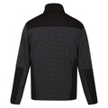 Seal Grey-Black - Back - Regatta Mens Highton III Full Zip Fleece Jacket
