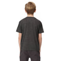 Seal Grey - Lifestyle - Regatta Childrens-Kids Findley Mountain Bike Marl T-Shirt