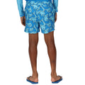 Aquarius - Close up - Regatta Childrens-Kids Skander II Shark Swim Shorts