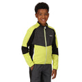 Green Algae-Black - Pack Shot - Regatta Childrens-Kids Oberon VII Marl Full Zip Fleece Jacket