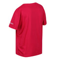 Pink Potion - Lifestyle - Regatta Childrens-Kids Alvarado VII Sun T-Shirt