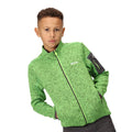 Jasmine Green-Ash - Lifestyle - Regatta Childrens-Kids Newhill Fleece Jacket