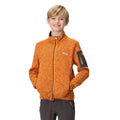 Orange Pepper-Ash - Lifestyle - Regatta Childrens-Kids Newhill Fleece Jacket