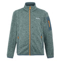 Glacier-Stormy Weather-Bright Marigold - Front - Regatta Childrens-Kids Newhill Fleece Jacket