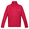 Berry Pink - Front - Regatta Childrens-Kids Highton IV Full Zip Fleece Jacket