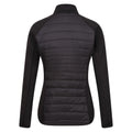 Black-Apricot Crush - Back - Regatta Womens-Ladies Clumber IV Hybrid Jacket