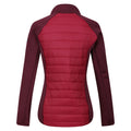 Rumba Red-Burgundy - Back - Regatta Womens-Ladies Clumber IV Hybrid Jacket
