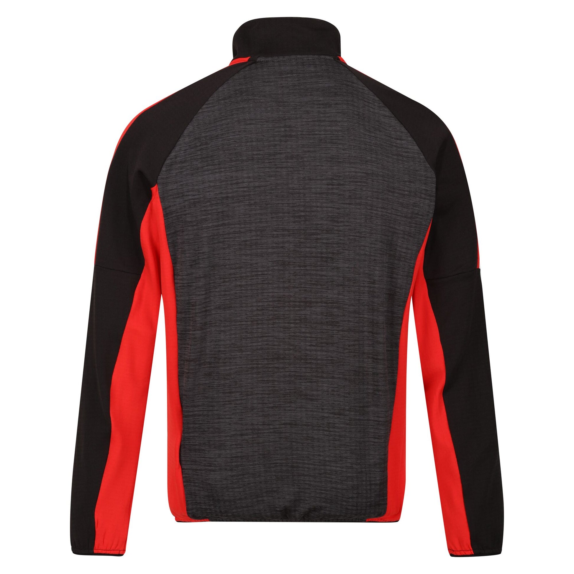 Seal Grey-Seville - Back - Regatta Mens Hepley Full Zip Fleece Jacket