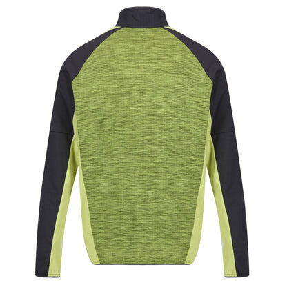 Green Algae-Seal Grey - Back - Regatta Mens Hepley Full Zip Fleece Jacket