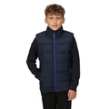 Navy-New Royal - Side - Regatta Childrens-Kids Scholar Thermal Body Warmer