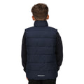 Navy-New Royal - Lifestyle - Regatta Childrens-Kids Scholar Thermal Body Warmer