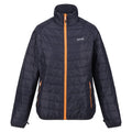 Apricot Crush-Seal Grey - Pack Shot - Regatta Womens-Ladies Wentwood VIII 2 in 1 Jacket