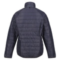 Apricot Crush-Seal Grey - Close up - Regatta Womens-Ladies Wentwood VIII 2 in 1 Jacket