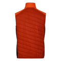 Puffins Orange-Rooibos Tea - Back - Dare 2B Mens Touring Quilted Lightweight Gilet