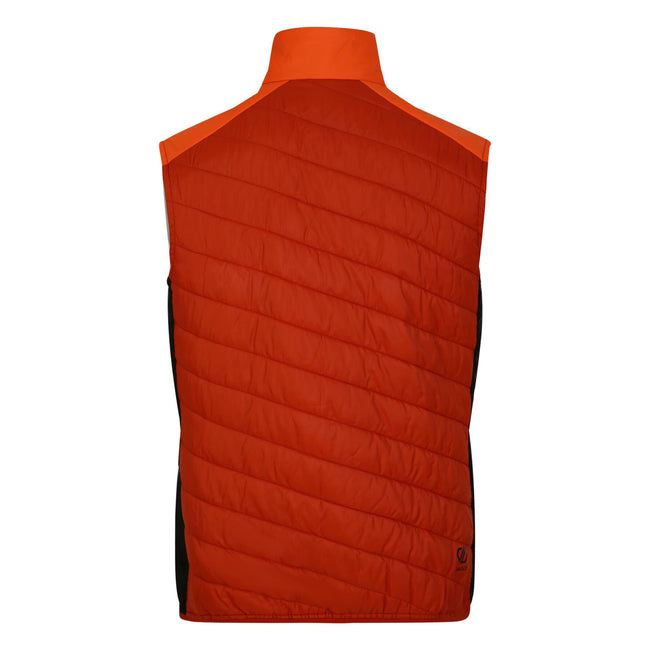 Puffins Orange-Rooibos Tea - Back - Dare 2B Mens Touring Quilted Lightweight Gilet