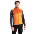 Puffins Orange-Rooibos Tea - Lifestyle - Dare 2B Mens Touring Quilted Lightweight Gilet