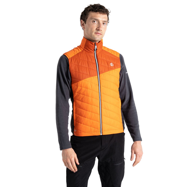 Puffins Orange-Rooibos Tea - Lifestyle - Dare 2B Mens Touring Quilted Lightweight Gilet