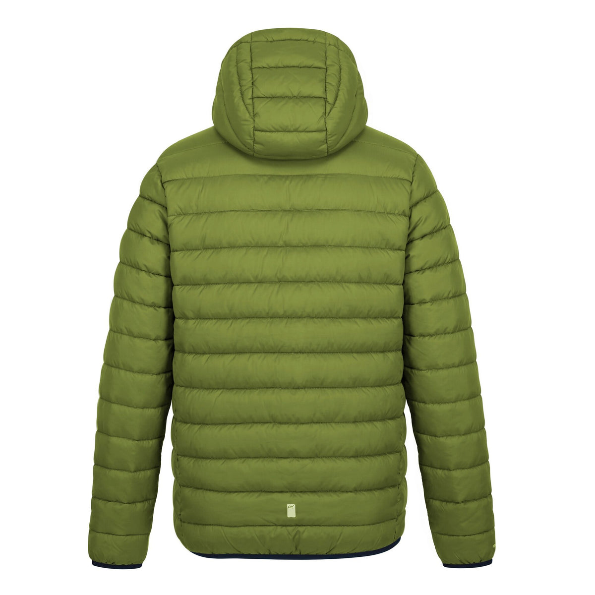 Golden Cypress-Aviator Blue - Back - Regatta Childrens-Kids Marizion Hooded Padded Jacket
