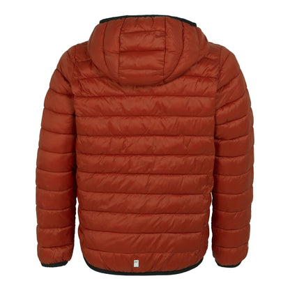 Rooibos Tea-Black - Back - Regatta Childrens-Kids Marizion Hooded Padded Jacket