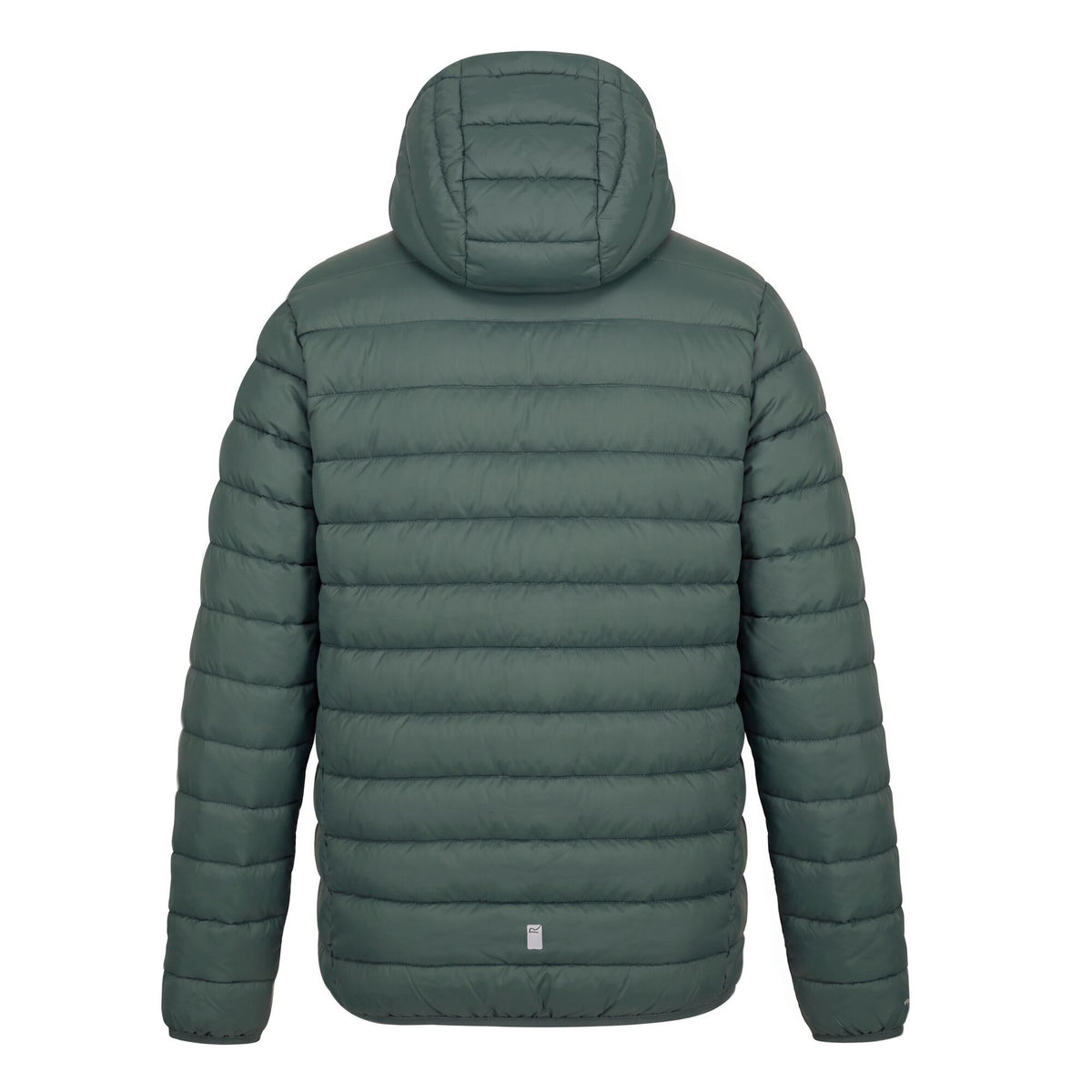 Dark Forest Green-Wild Lime - Back - Regatta Childrens-Kids Marizion Hooded Padded Jacket